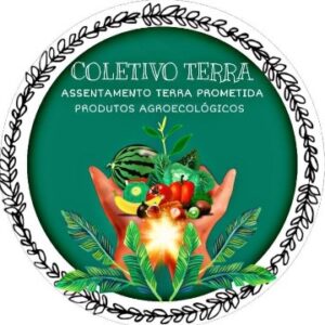 coletivo terra logo